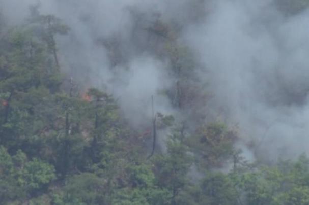 日本50年最严重山火;日本50年最严重山火事件