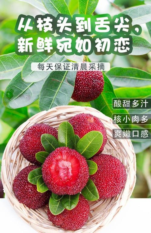 新澳门彩开奖结果今天和这几种水果买就后悔与买哪些水果