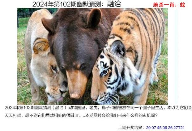 澳门研究生最新资料和7岁男孩遭3只犬撕咬与7岁男孩遭3只犬撕咬怎么办