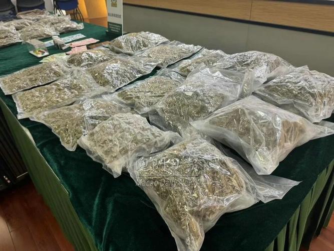 新澳门2025年开奖记录和糖果检出大麻成分与