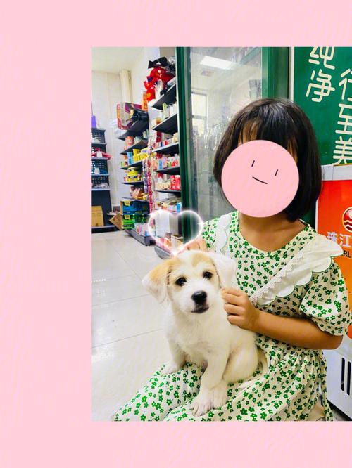 新澳门近15期开奖记录和狗闯村民家咬伤女童与村里的狗咬人,应该找谁解决